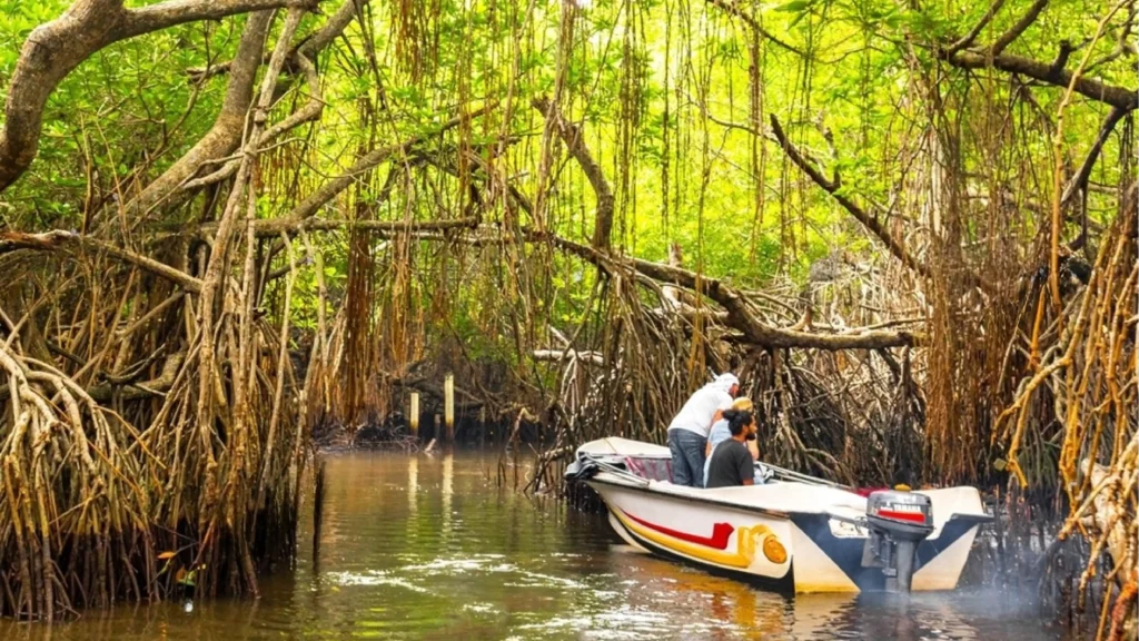 Nature and Wildlife Tour-05