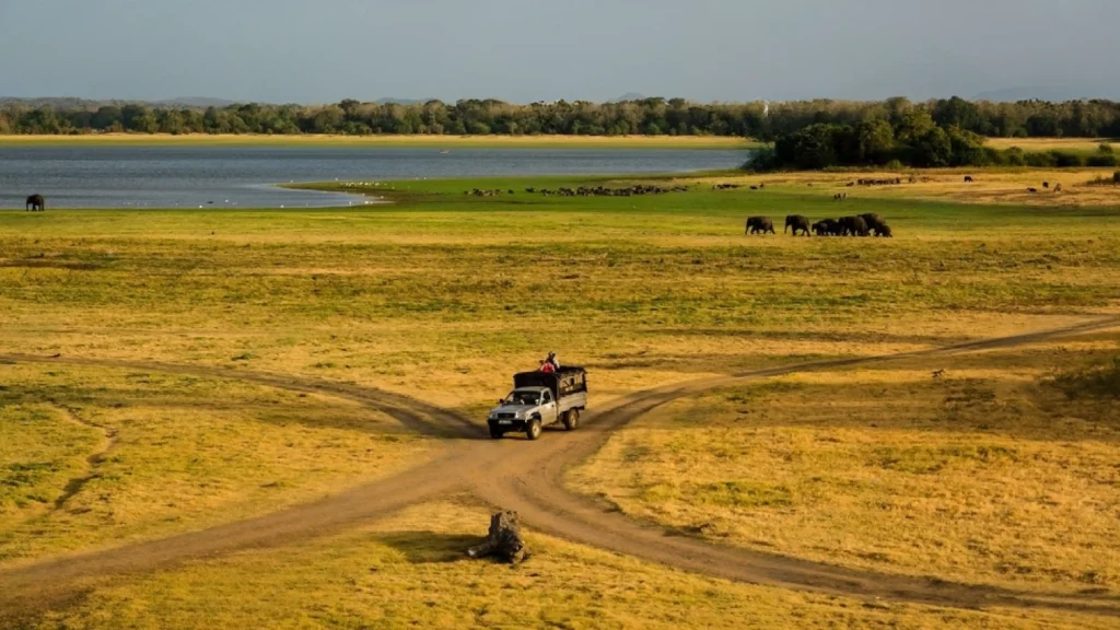 Nature and Wildlife Tour-07