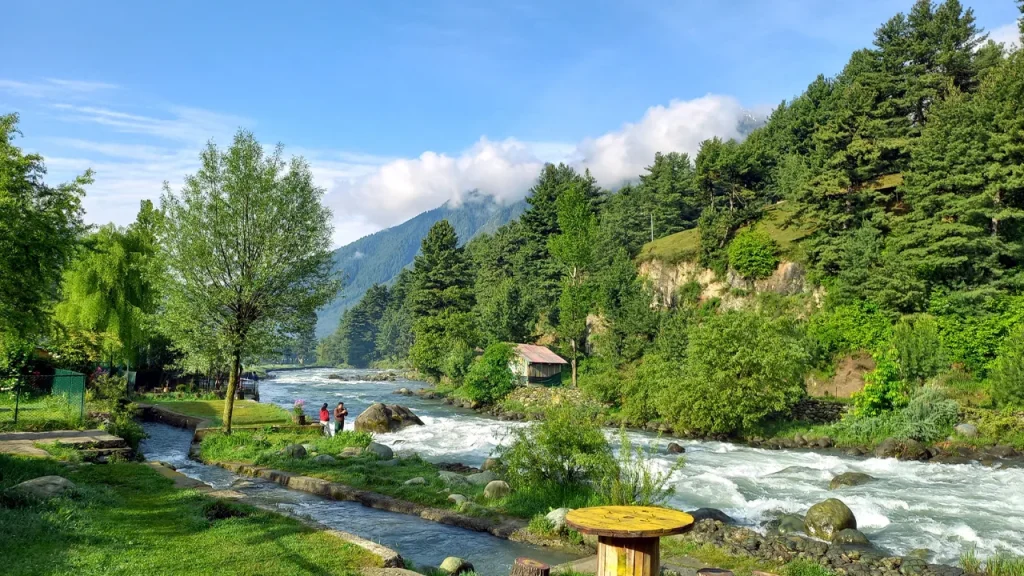 Scenic drive to Pahalgam via Pampore Saffron Fields & Awantipora Ruins Kashmir Tour