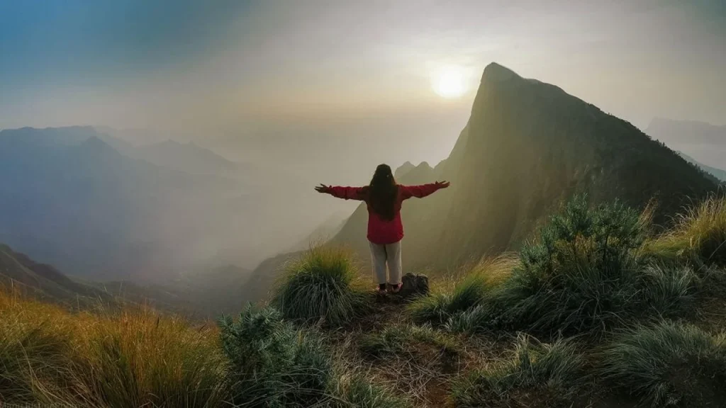 relax in Munnar Kerala Tour